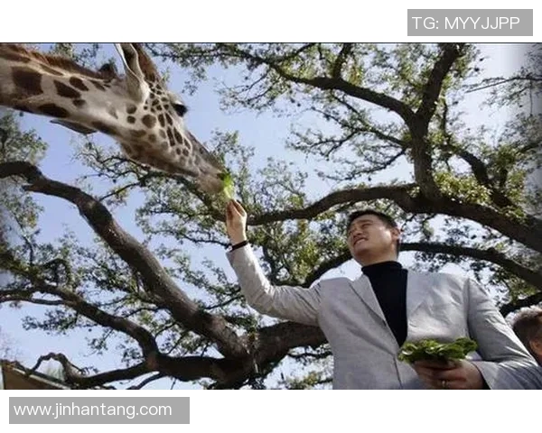 赵薇刘嘉玲姚明同台聚首探讨娱乐与体育的交融之道